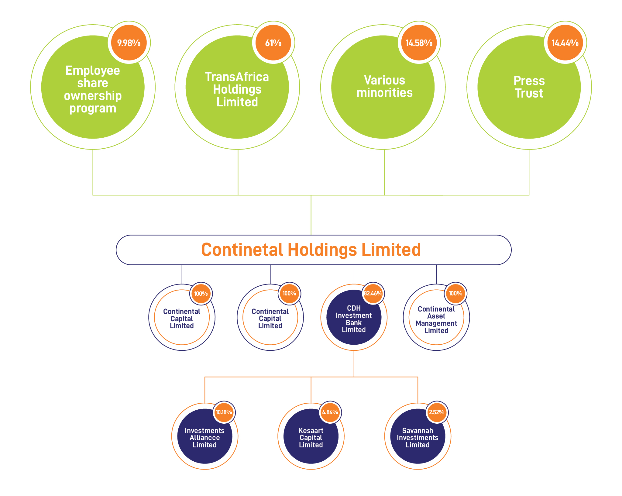 CDHIB Shareholding Structure